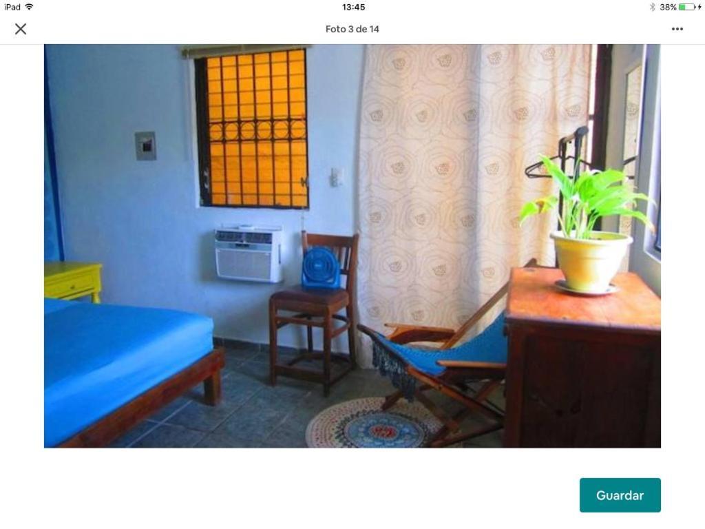 Casa De Hojas Appartamento Playa del Carmen Esterno foto