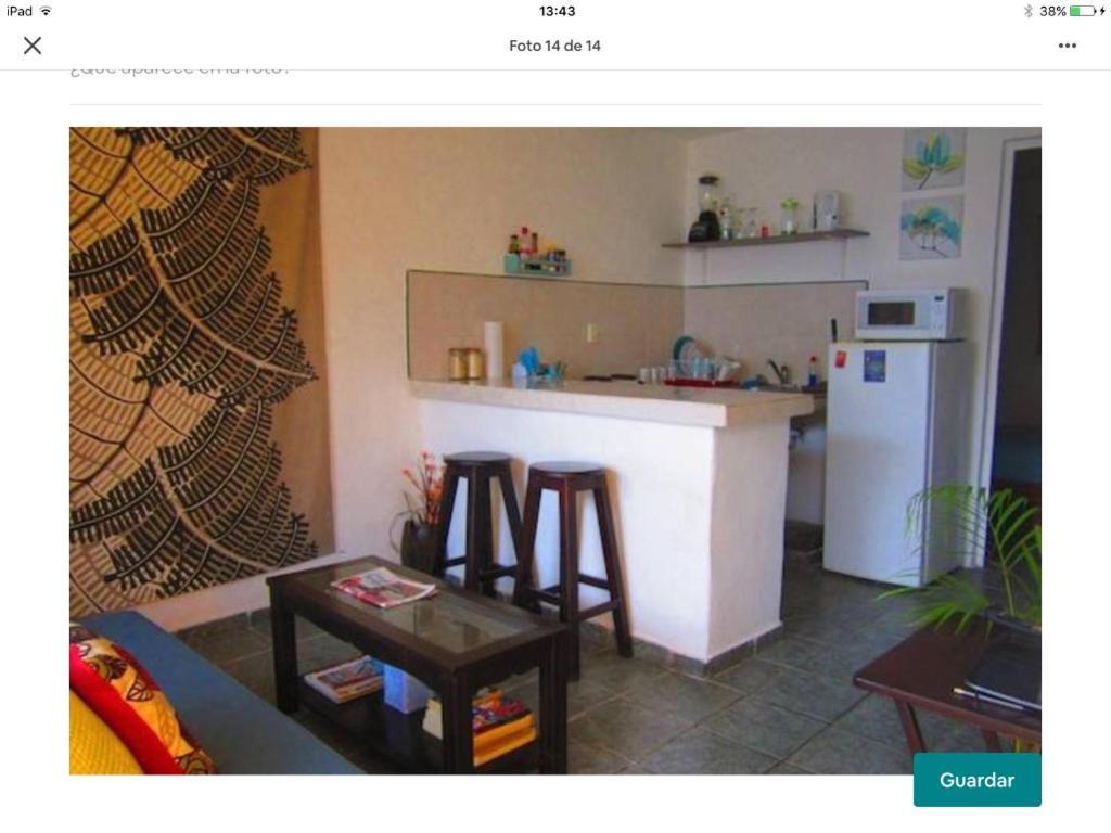 Casa De Hojas Appartamento Playa del Carmen Esterno foto
