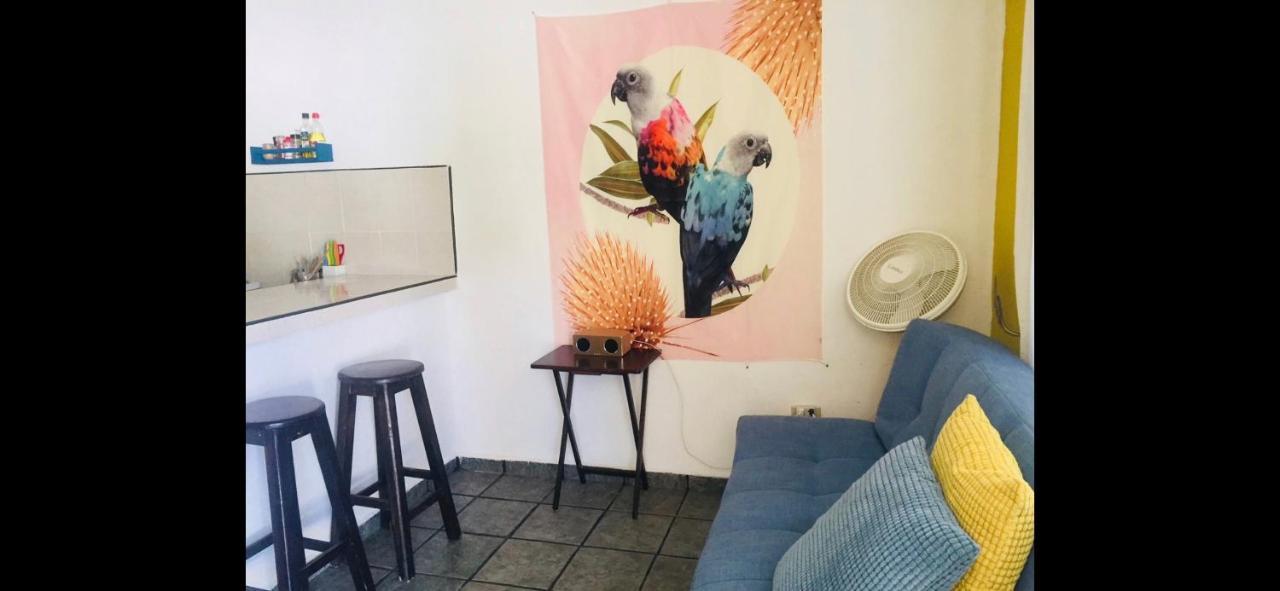Casa De Hojas Appartamento Playa del Carmen Esterno foto
